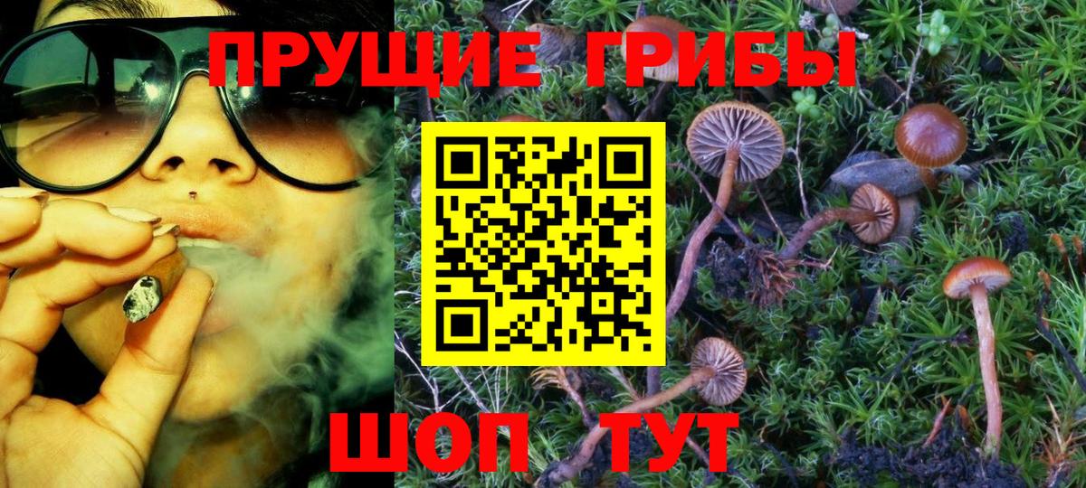 Галлюциногенные грибы Magic Shrooms Орёл