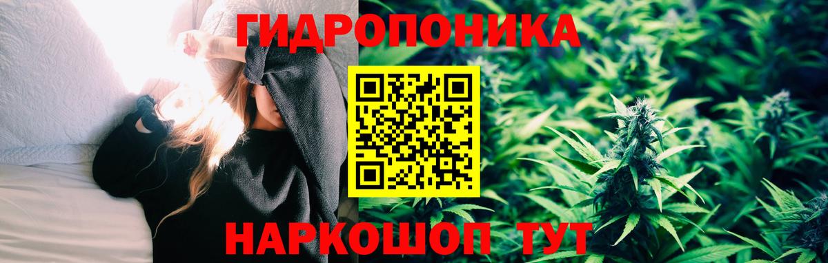 Конопля гибрид Орёл